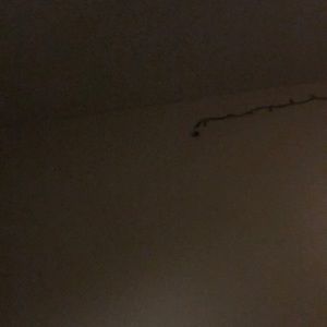 Meet your Posher, Dididikt